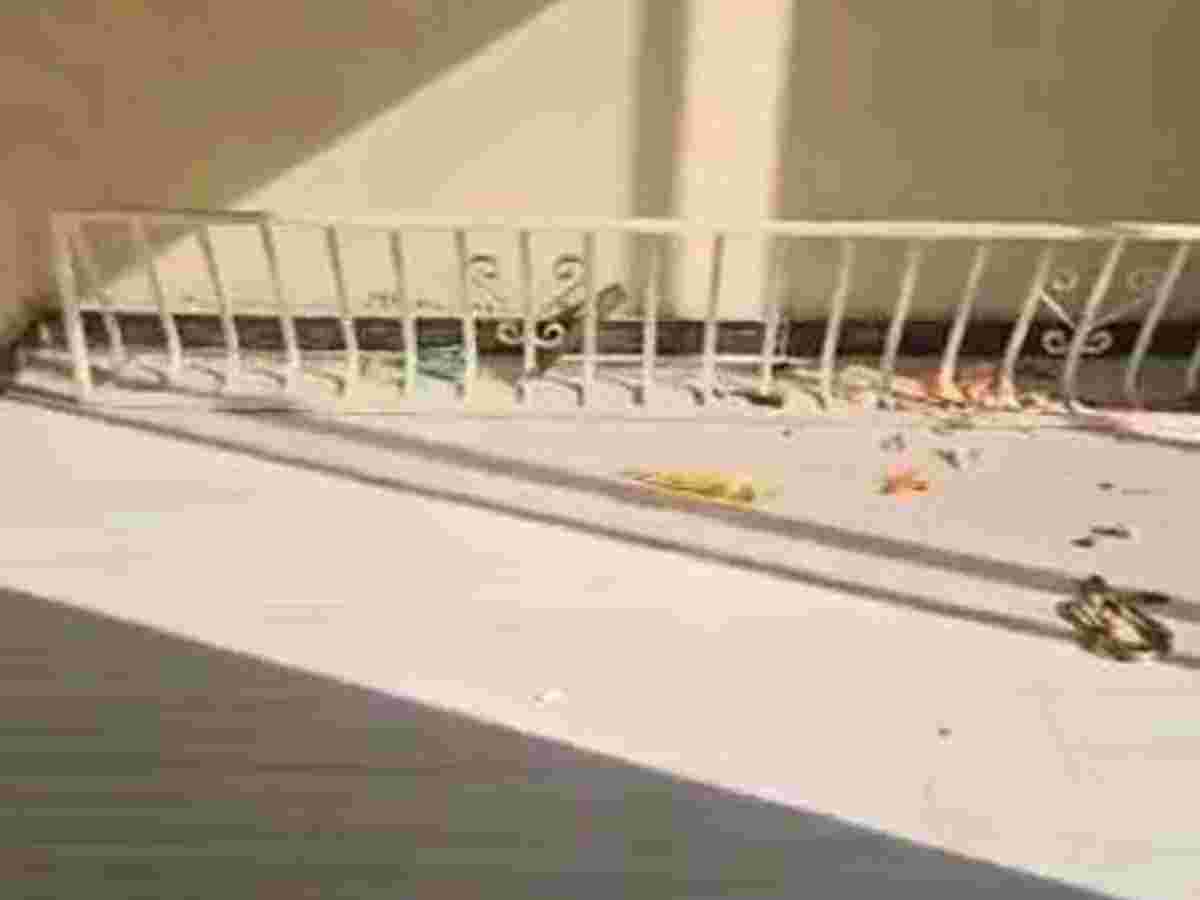 شقة 2 غرف 1 صالات 64م² طابق 5 للبيع